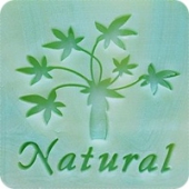 Bamboo Natural Stamp