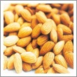 Sweet almond oil